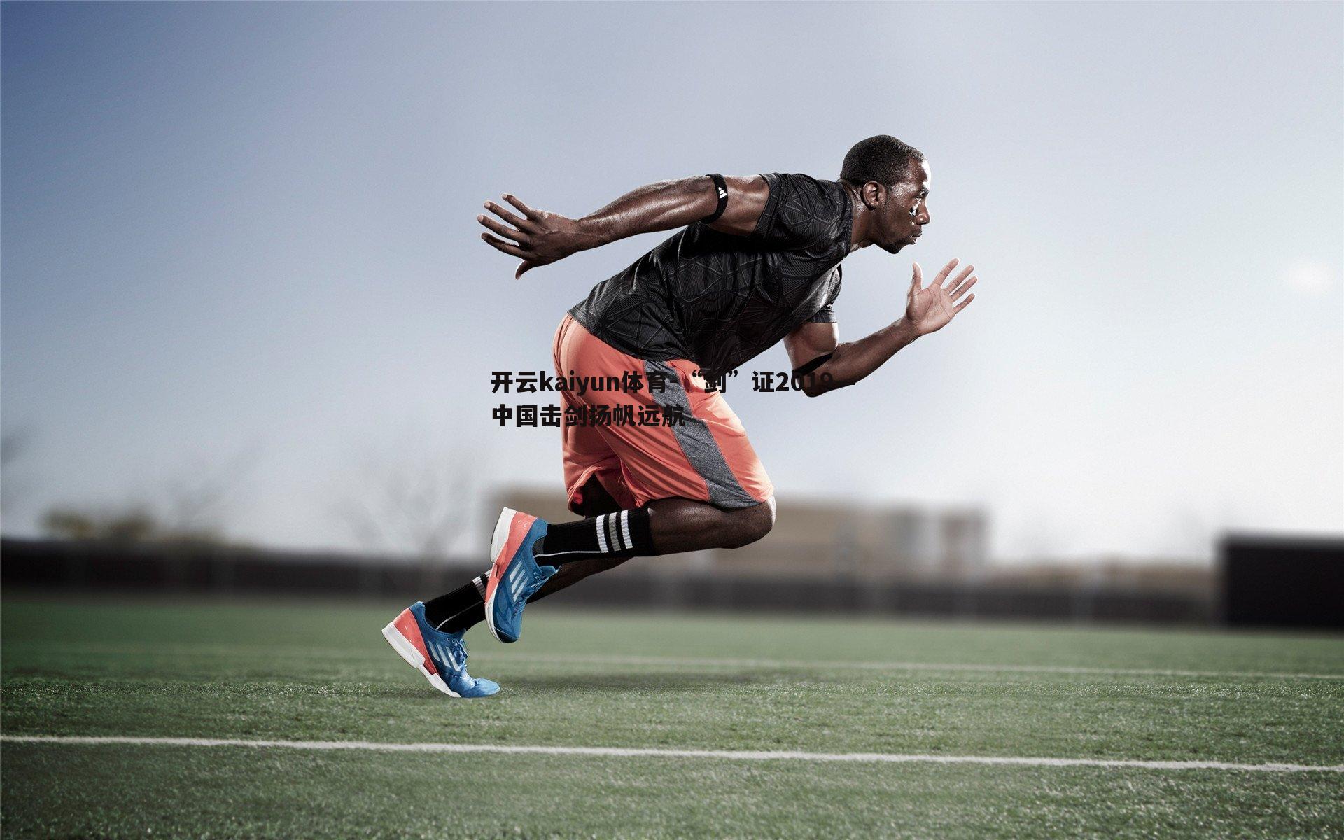 “剑”证2019—中国击剑扬帆远航