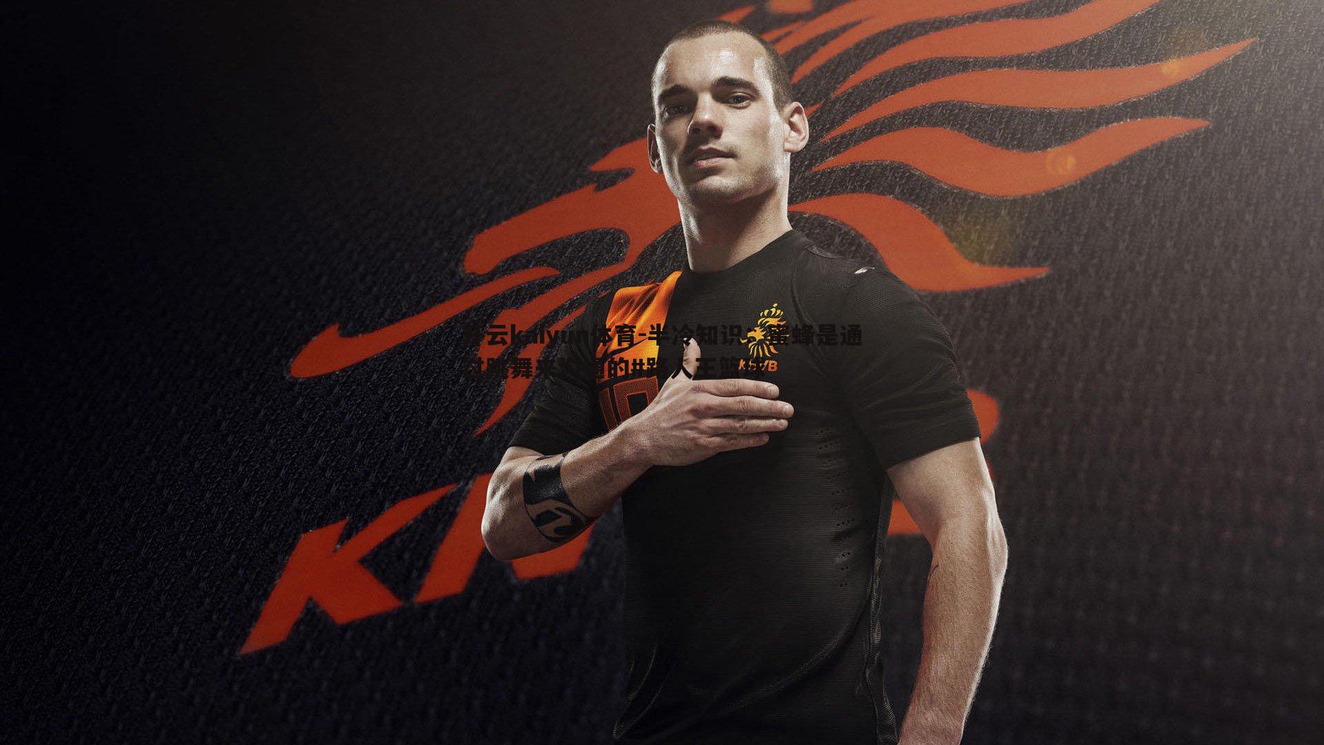 半冷知识：蜜蜂是通过跳舞来沟通的#路人王篮球